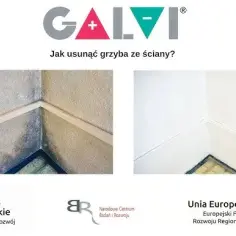 Skuteczne sposoby jak usunąć grzyb ze ściany: poradnik krok po kroku